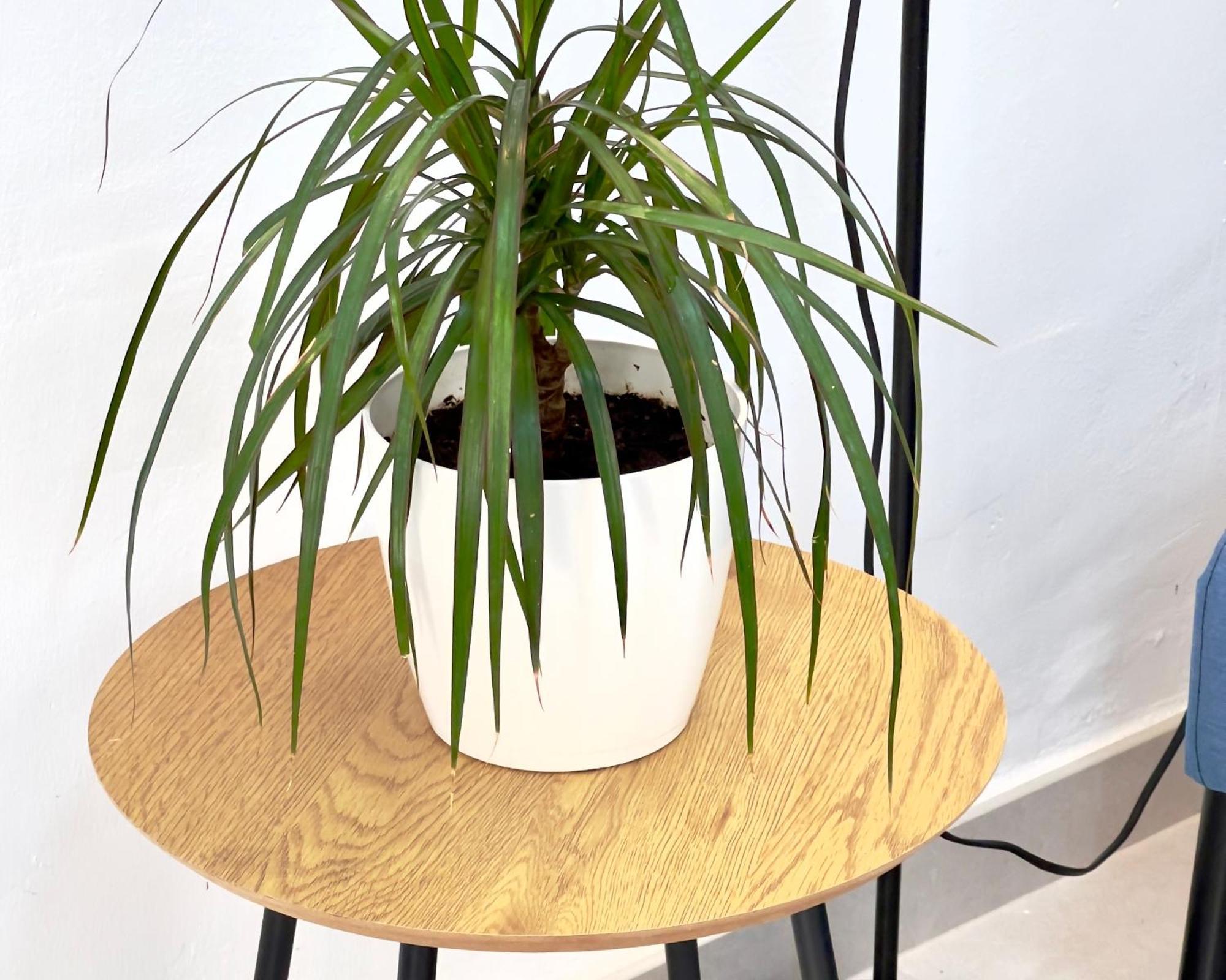 Alcamar Comfortable In The Center Of Apartamento